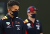 Foto zur News: Alexander Albon: Max Verstappen ist Fluch und Segen zugleich