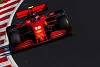 Foto zur News: Update-Fazit: Leclerc widerspricht Ferrari-Teamkollege