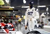 Foto zur News: Pierre Gasly: 2020 mein bisher bestes Jahr in der Formel 1