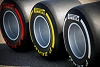 Foto zur News: Novum: Pirelli gibt Reifenmischungen für komplette F1-Saison