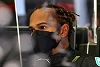 Foto zur News: Alexander Wurz: Lewis Hamilton 2021 &quot;ein besseres Paket als