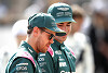 Coulthard spekuliert: Vettel nur als Imagepolierer für