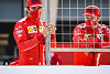 Foto zur News: Carlos Sainz: Daniel Ricciardo soll mal ein ordentliches