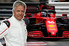 Foto zur News: Marc Surer glaubt: Ist die Aufhängung Ferraris