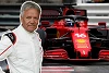 Foto zur News: Marc Surer glaubt: Ist die Aufhängung Ferraris