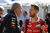 Sebastian Vettel: Glaube nicht, dass Red Bull eine Option