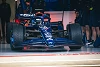 Foto zur News: Nach Shakedown im 2022er-Auto: Williams-Fahrer beklagen