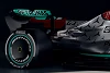 Foto zur News: Mercedes-Motorenchef: E10-Benzin wird in der F1 2022