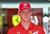 Foto zur News: Gerhard Berger: Ferrari käme &quot;zu früh&quot; für Mick Schumacher