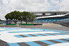 Foto zur News: Miami: Leguane als unübliche Gefahr für die Formel 1