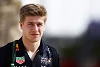 Red-Bull-Junior Jüri Vips darf in Barcelona statt Perez