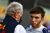 Foto zur News: Helmut Marko: &quot;Müssen schauen, wie es mit Gasly weitergeht&quot;