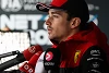 Ist das Ferrari-Team gespalten? "Stimmt nicht", entgegnet