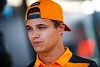 Foto zur News: Lando Norris: Hater verschwenden mit ihrem Hass ihr Leben!
