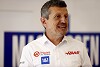 Günther Steiner über Ricciardo: "Vielleicht wollen wir