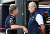 Foto zur News: Horner: Herta einziger Kandidat, um Gasly bei AlphaTauri zu