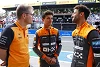 Foto zur News: Lando Norris: Ob Rookie oder Routinier macht keinen