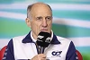 Foto zur News: Franz Tost erwartet mehr Rennaction: Feld wird 2023 enger