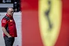 Foto zur News: Formel-1-Liveticker: Wie kann man Red Bull schlagen?