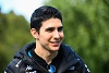 Foto zur News: Ocon trotz Verbreiterung der Startboxen sicher: Wird noch