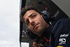 Foto zur News: Daniel Ricciardo: Formel-1-Comeback 2024 nur in einem