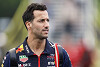 Foto zur News: AlphaTauri: Ricciardo nur eine Option, falls kein Junior