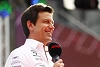 Foto zur News: Toto Wolff gegen BoP: Red Bull hat sich aktuelle Dominanz