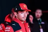 Foto zur News: Formel-1-Liveticker: Leclerc startet am Sonntag von der Pole