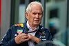 Foto zur News: Helmut Marko: Mercedes-Aussagen nicht von &quot;ernsthaftem