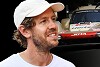 Foto zur News: Marc Surer: Warum er Vettel in Le Mans sieht, aber nicht in