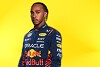 Foto zur News: Hamilton soll bei Red Bull angefragt haben: Was steckt