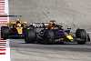 Foto zur News: Lando Norris: Verstappen #AND# Red Bull werden nicht so