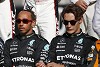 Foto zur News: Rosberg: Russell muss im Duell mit Hamilton unbequem für