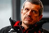 Foto zur News: Was Günther Steiner jetzt vorhat