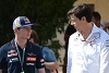 Foto zur News: Max Verstappen zu Mercedes? "Toto Wolff wird das versuchen"