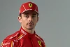 Foto zur News: Charles Leclerc: Wusste vor meinem Vertrag, dass Hamilton