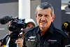 Foto zur News: Günther Steiner: So kam es zu seiner neuen Rolle als