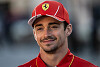 Foto zur News: Wirst du im Ferrari schneller sein als Lewis Hamilton,
