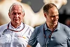 Foto zur News: Nach Krisengespräch mit Mintzlaff: Helmut Marko bleibt bei