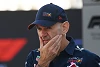 Foto zur News: Adrian Newey: Regelmacher haben für 2026 nicht ans Chassis