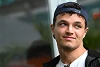 Foto zur News: Lando Norris: Würde lieber gegen Newey gewinnen als mit ihm!