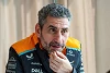 Foto zur News: Interview: Was hat McLaren so runtergezogen, Andrea Stella?