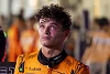 Foto zur News: Experten diskutieren: Ist Lando Norris mental zu schwach für