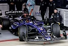 Foto zur News: Alexander Albon: Sainz als Teamkollege bedeutet weniger