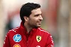 Foto zur News: Was Jerome d&#039;Ambrosio eigentlich bei Ferrari macht