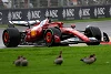 Foto zur News: Schlechtester Auftakt seit 16 Jahren: Ferrari &quot;Flop des