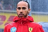 Foto zur News: Hamilton über Zoff am Boxenfunk: Max ist viel schlimmer!