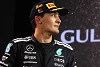 Foto zur News: Nach starkem Saisonstart: George Russell vor neuem