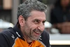 Foto zur News: Andrea Stella: Falsche Verdächtigungen gut für McLaren