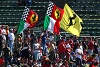 Foto zur News: TV-Quoten Imola: 1,5 Millionen sehen Formel 1 auf RTL